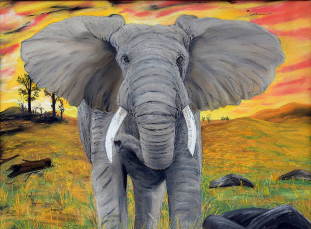 Éléphant 
Pastel sec.
Exposée dans notre galerie