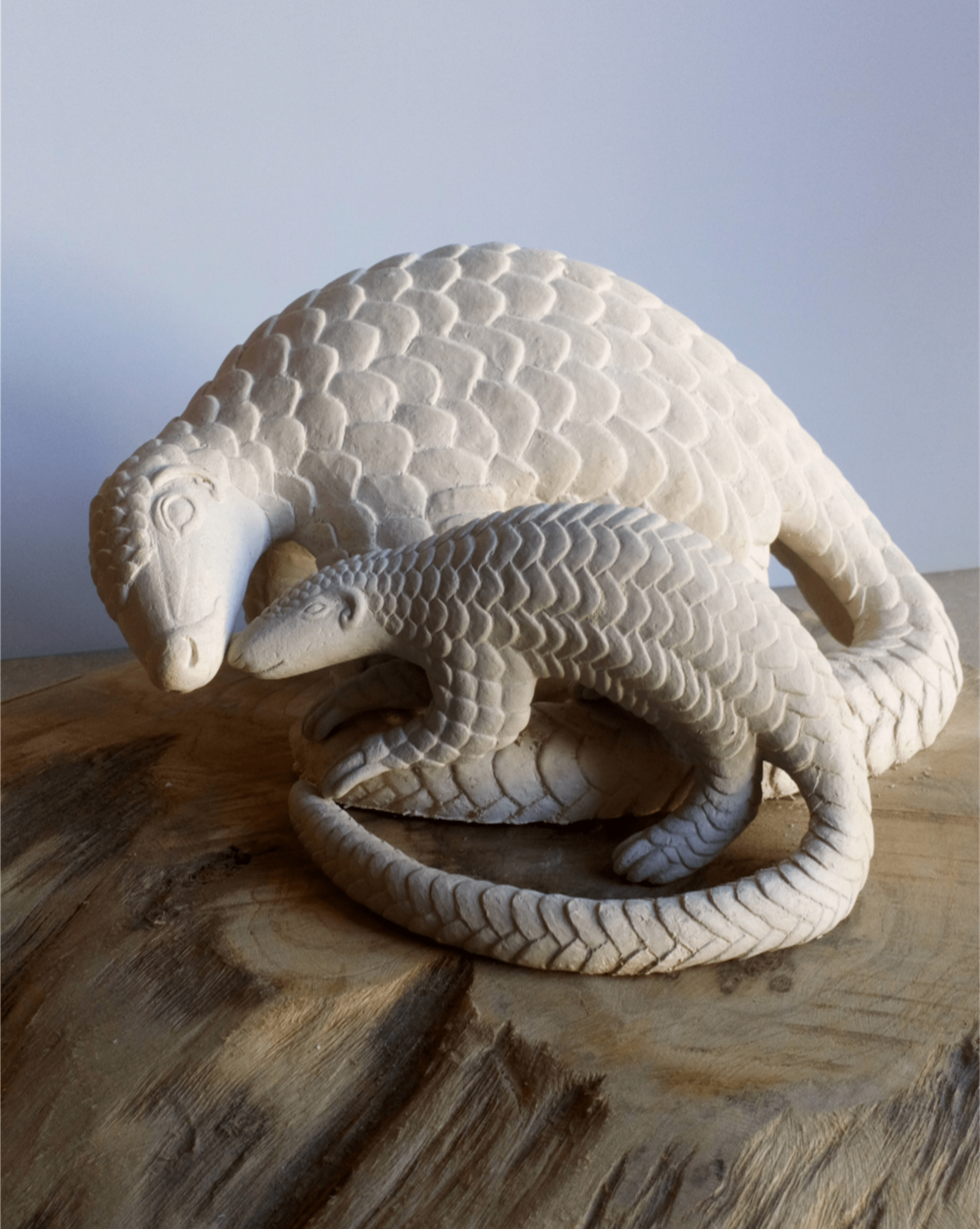 Pangolin et son bébé