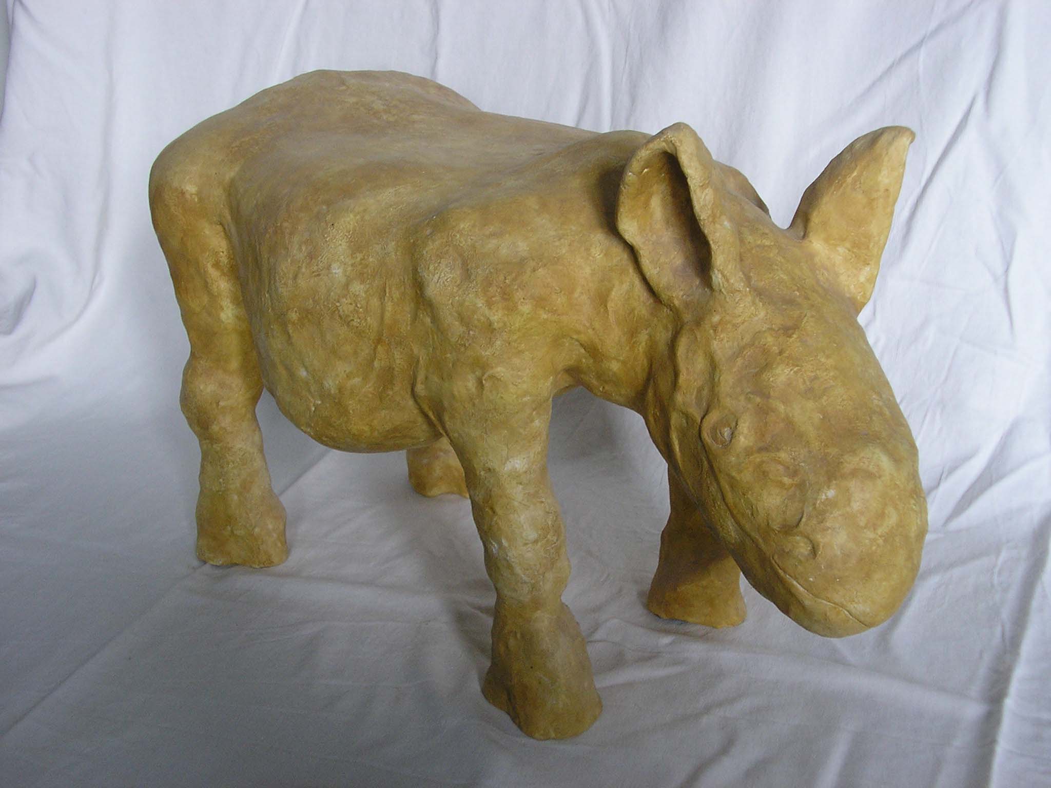 Bébé Rhino